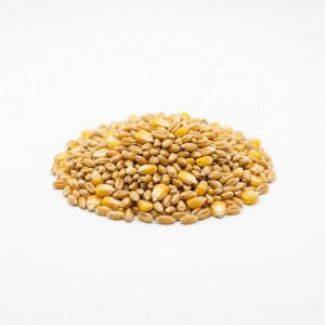 Granos y Cereales